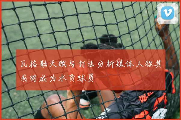瓦格勒天赋与打法分析媒体人称其或将成为水货球员