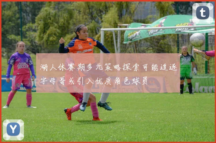 湖人休赛期多元策略探索可能追逐字母哥或引入优质角色球员